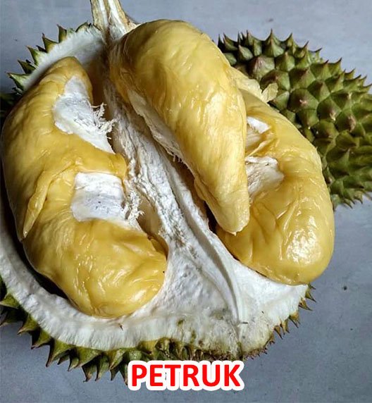 Durian Petruk